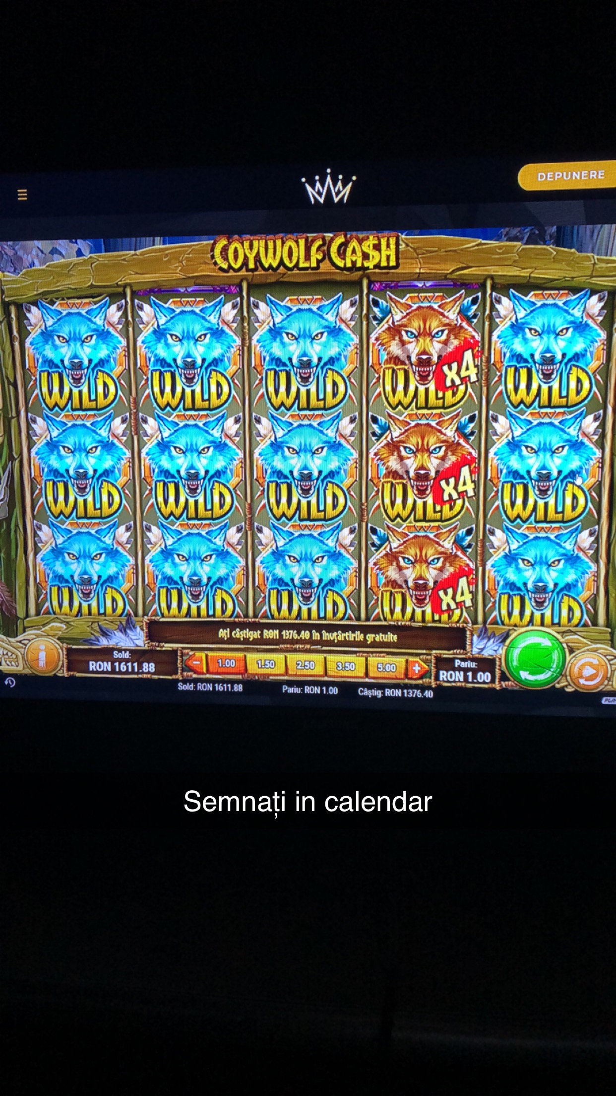 'coywolf Cash (x1200)'