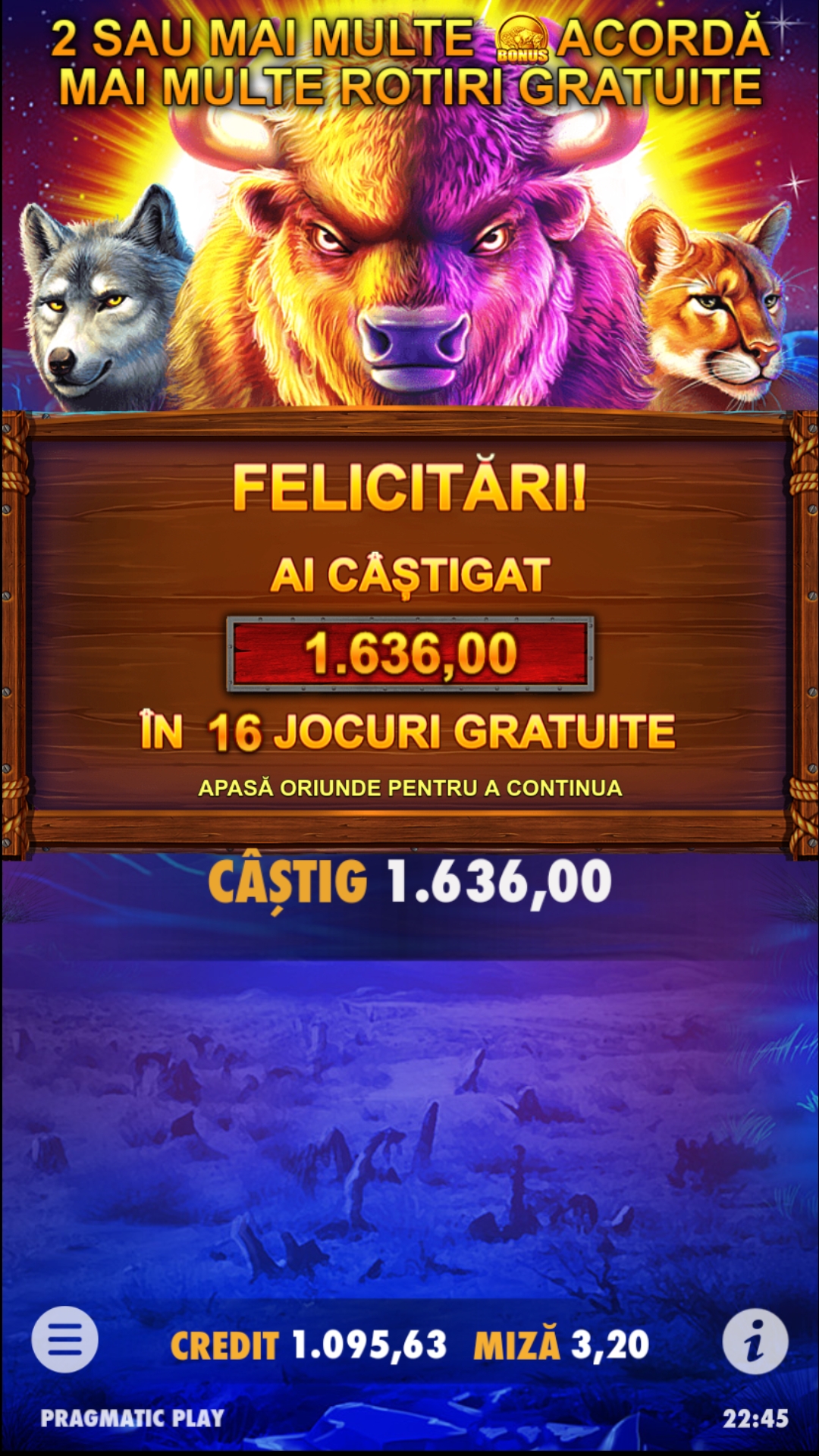 single-castig