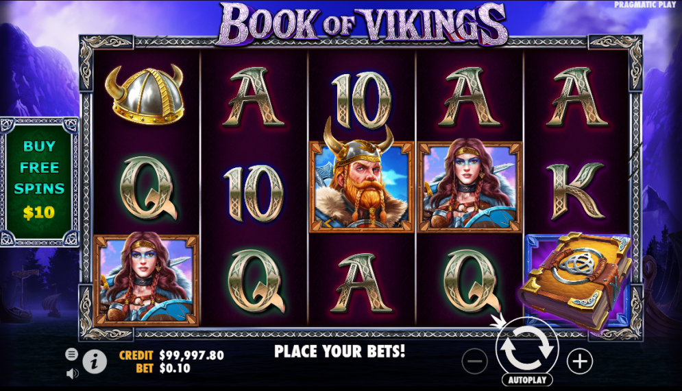 Book of Vikings