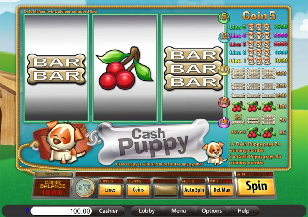 Cash Puppy