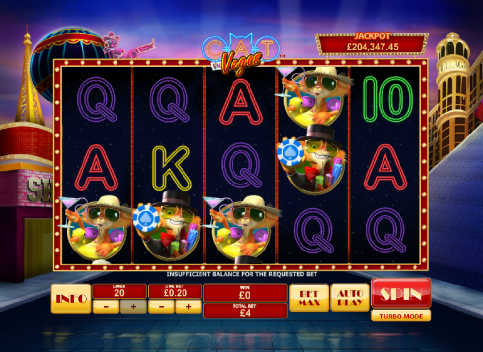 Cat In Vegas