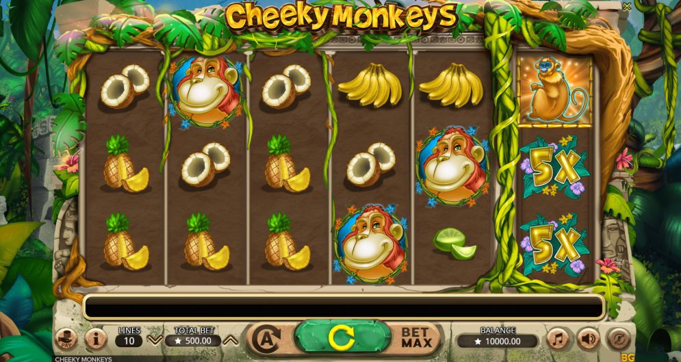 Cheeky Monkeys
