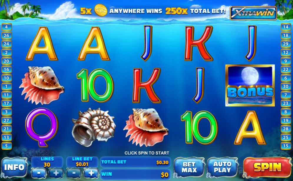 Dolphin Cash