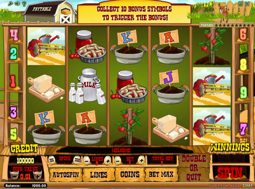 Farm Fair