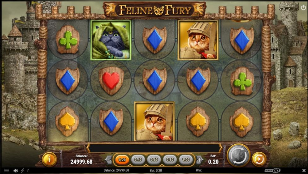 Feline Fury