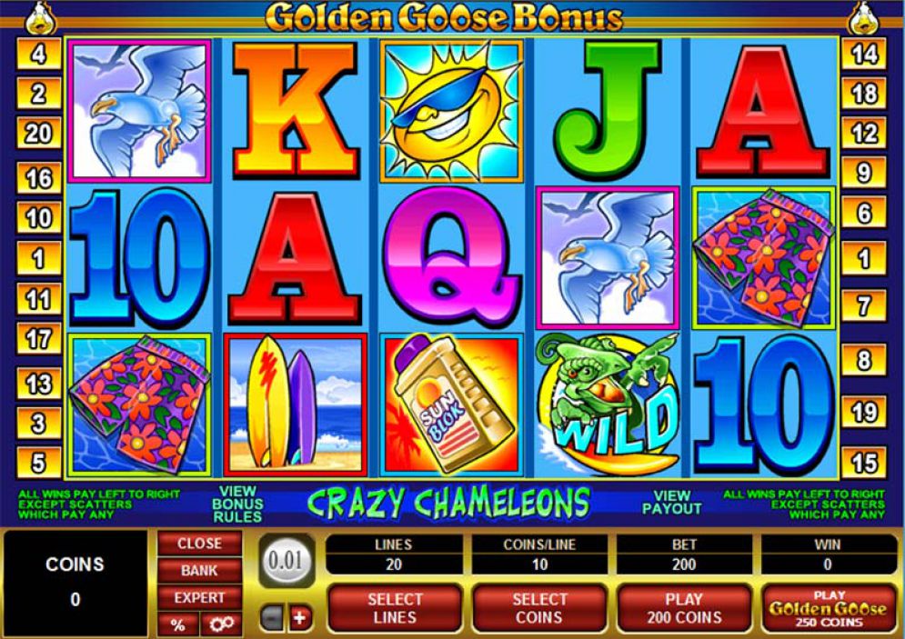 Golden Goose – Crazy Chameleons