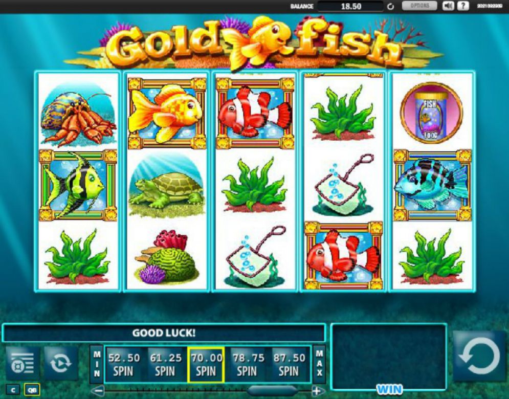 Goldfish