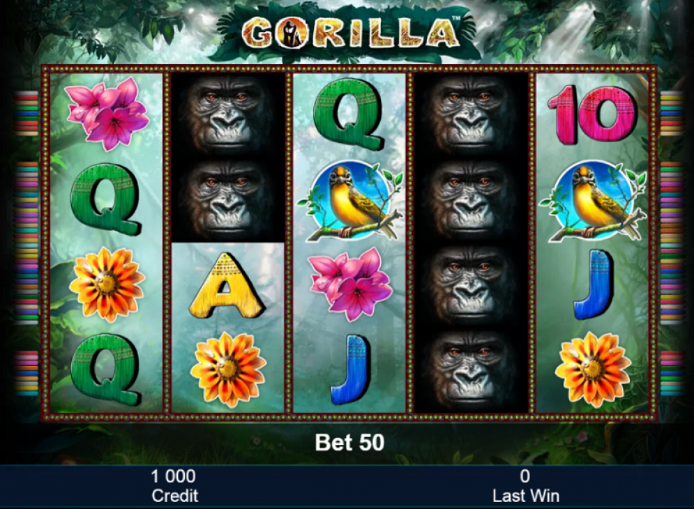 Gorilla