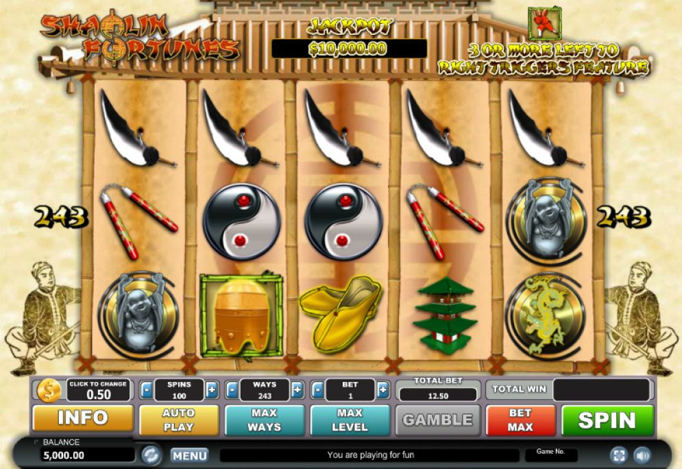 Shaolin Fortunes 243 Ways