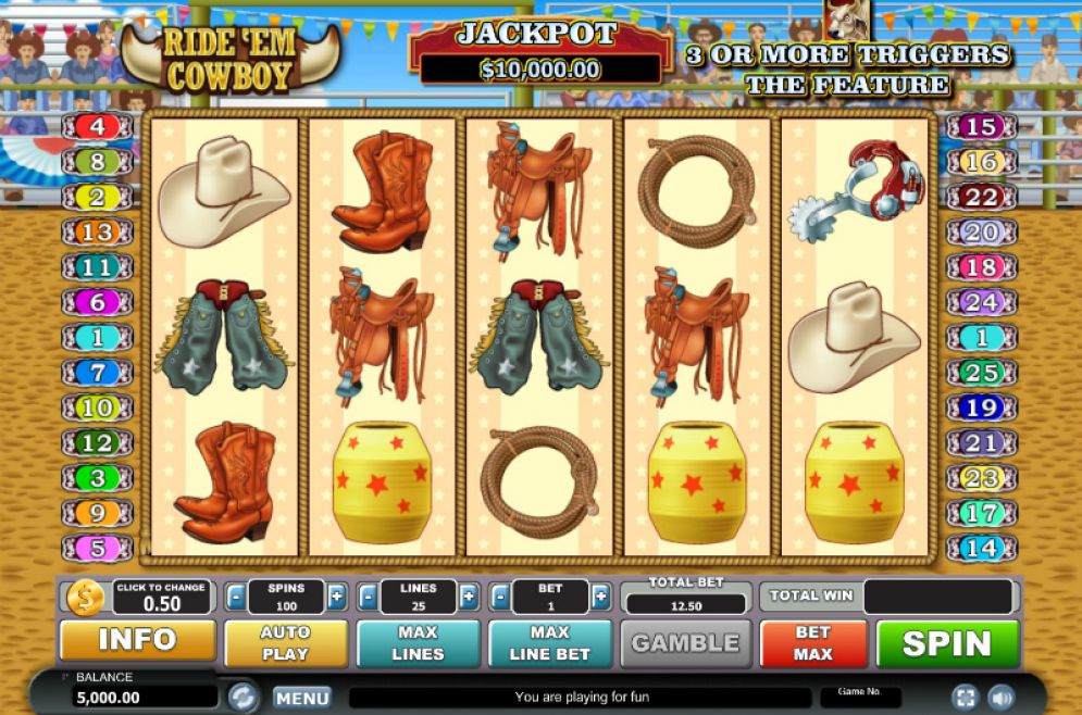 Ride ‘em Cowboy