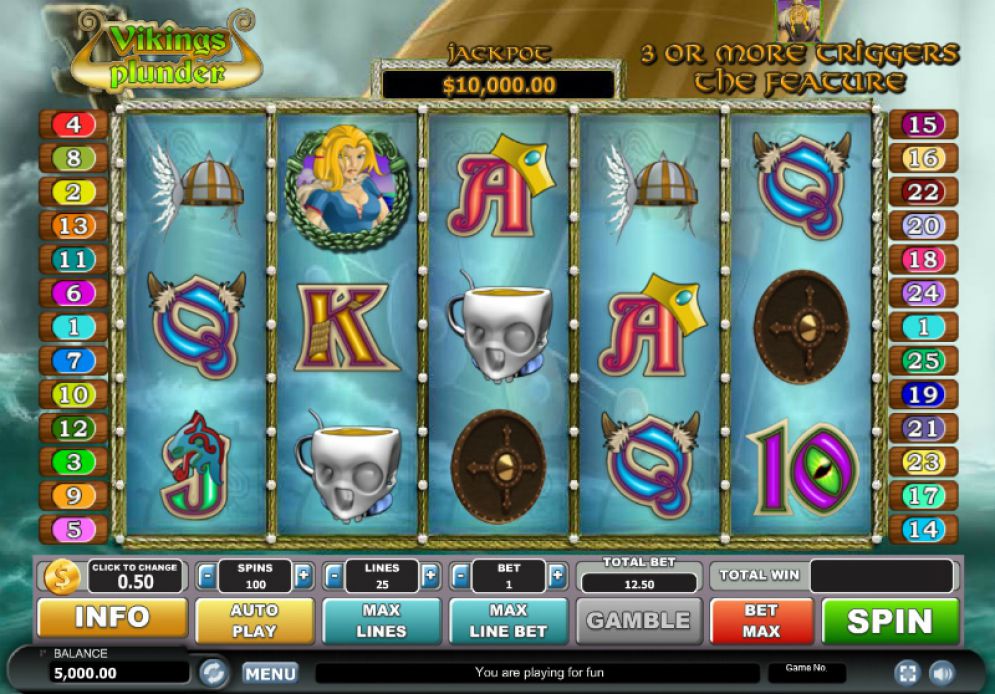Viking’s Plunder