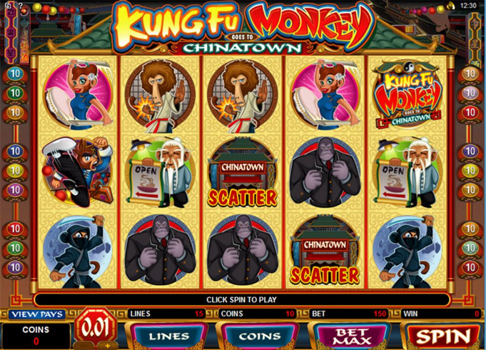 Kung Fu Monkey
