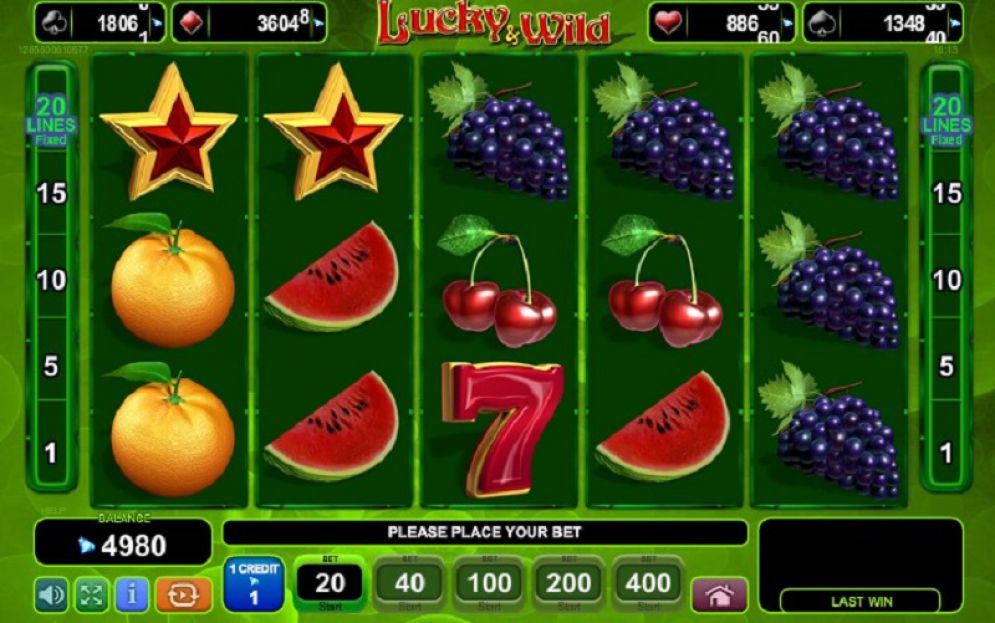 Lucky & Wild
