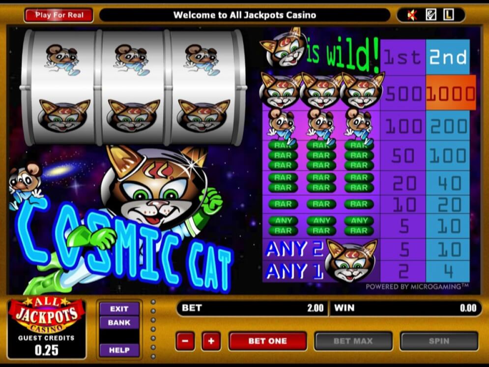 Cosmic Cat