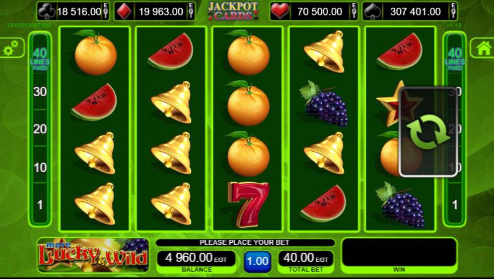 More Lucky & Wild