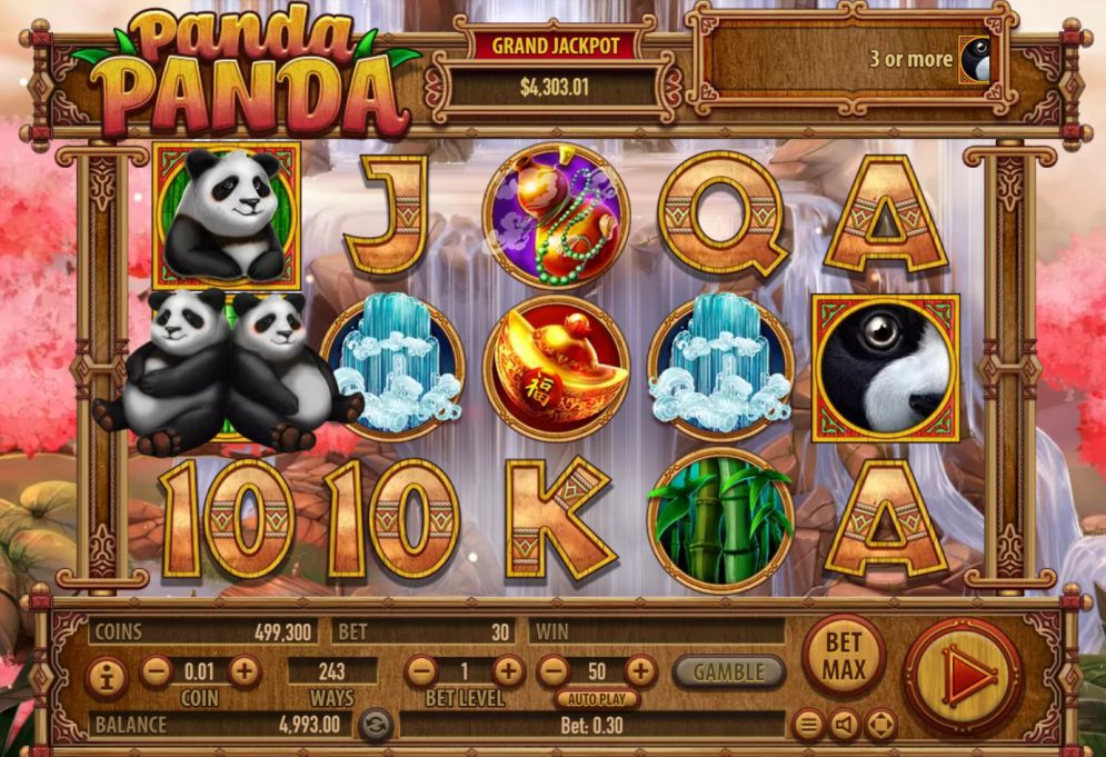 Panda Panda