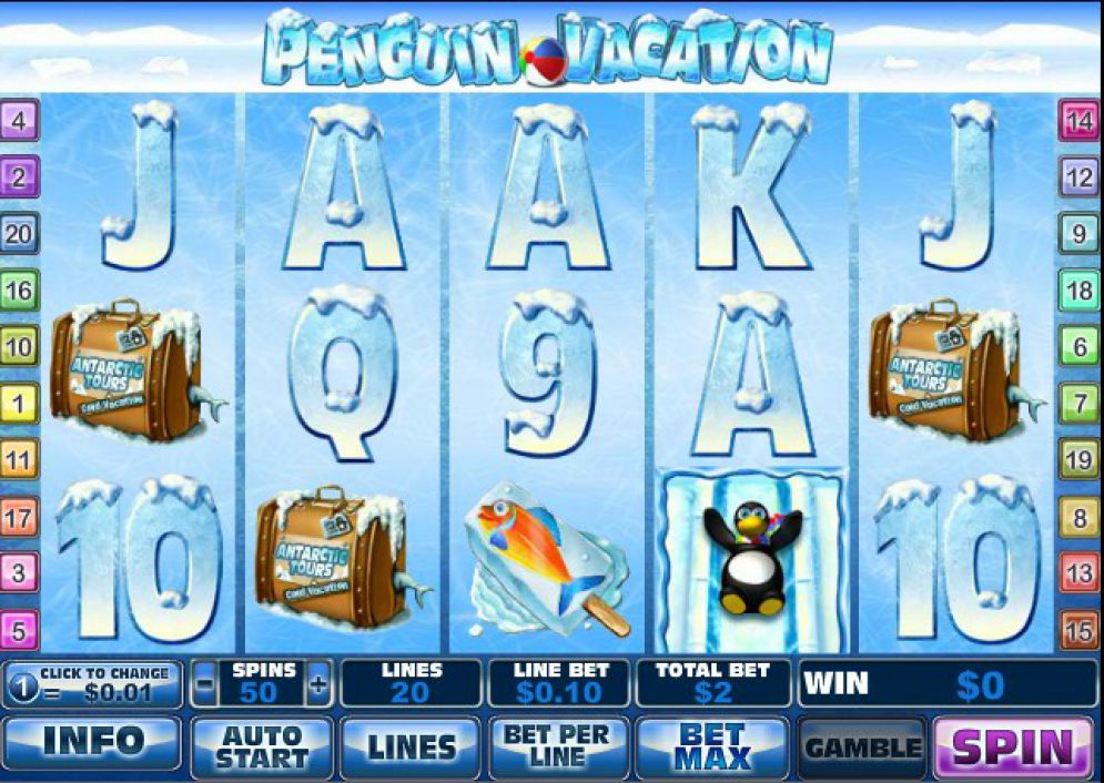 Penguin Vacation