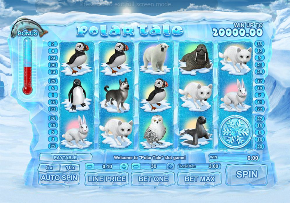 Polar Tale