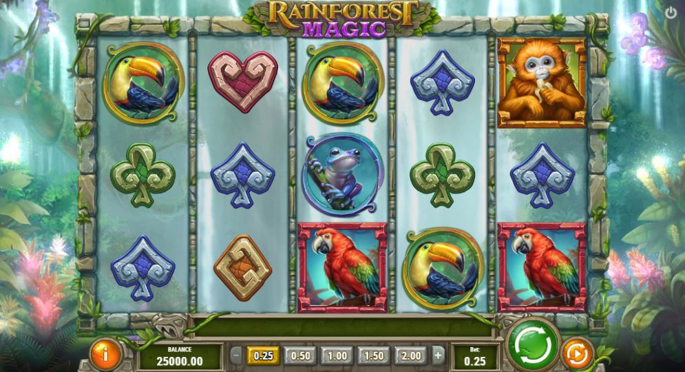 Rainforest Magic