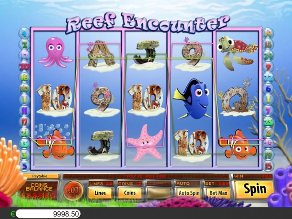Reef Encounter