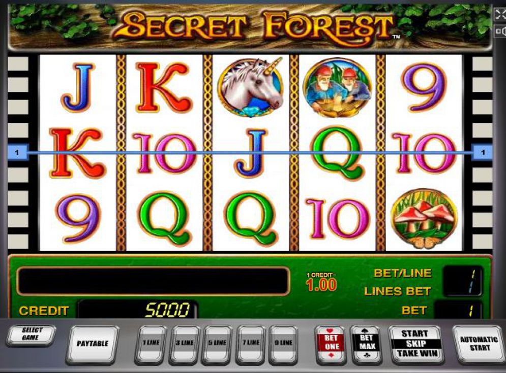 Secret Forest