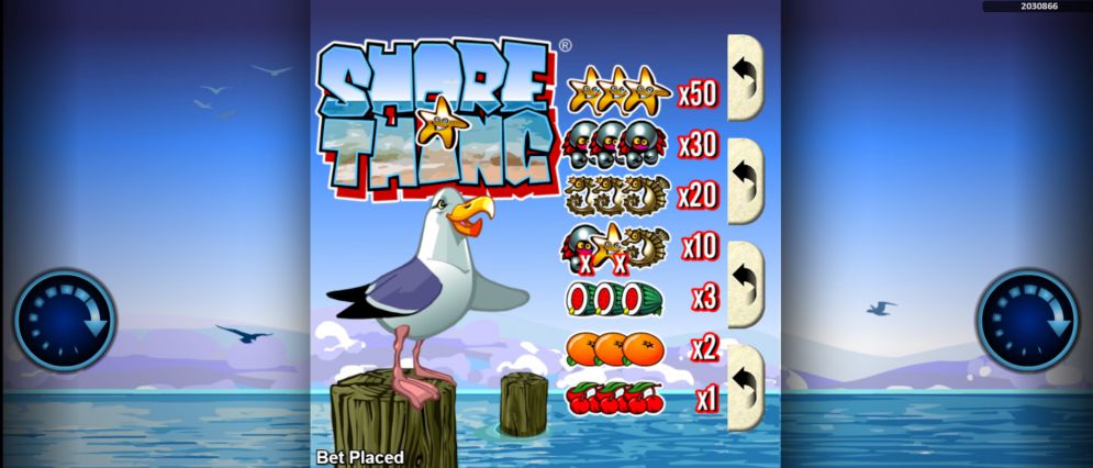 Shore Thing