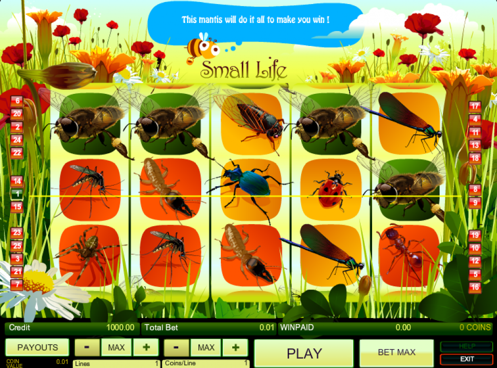 Small Life