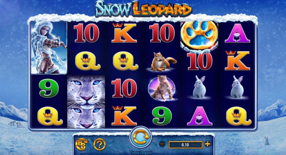 Snow Leopard