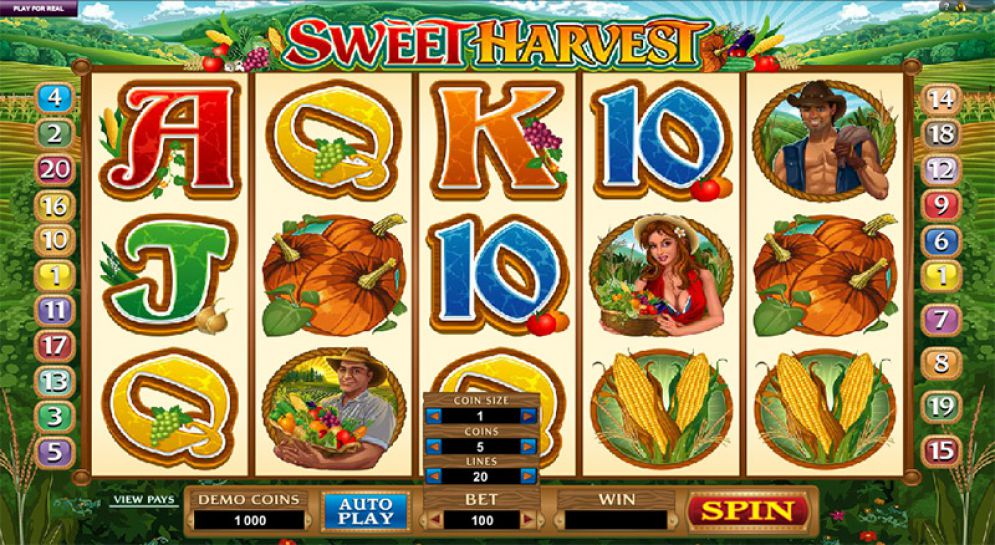 Sweet Harvest