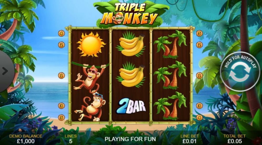 Triple Monkey