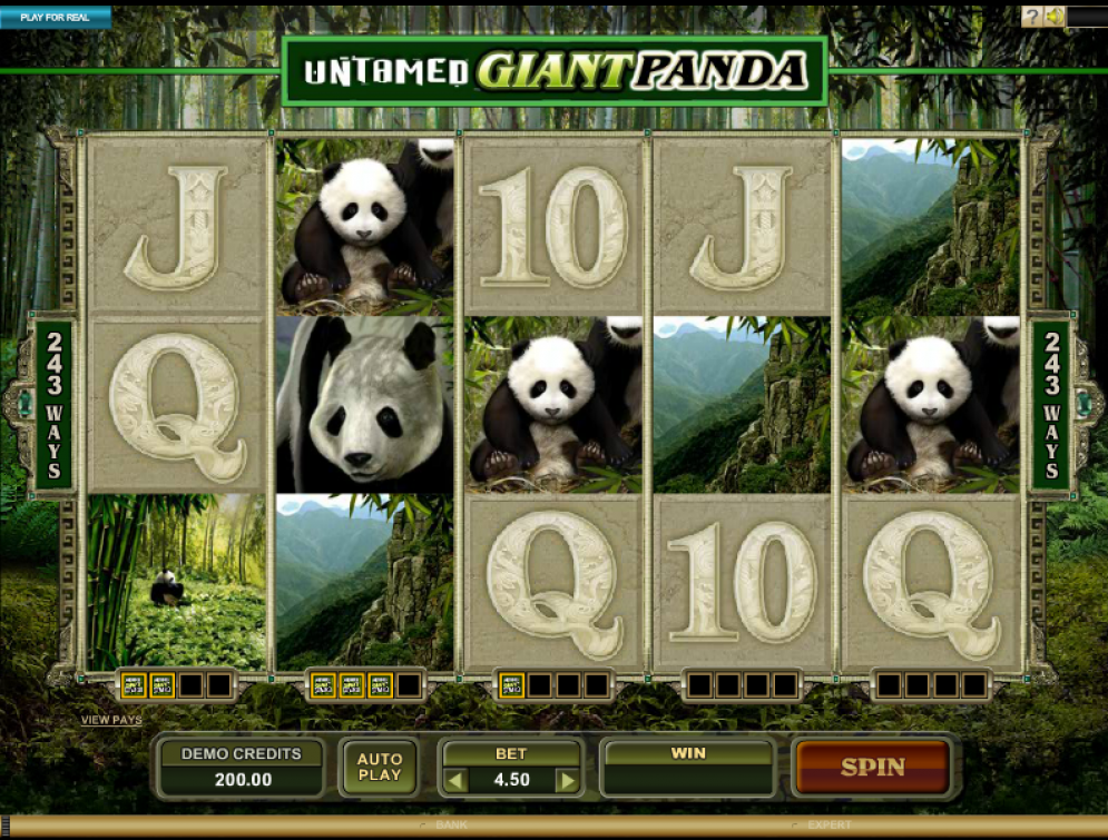 Untamed Giant Panda