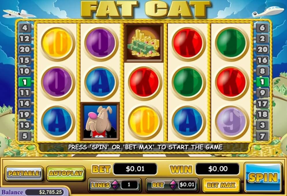 Fat Cat