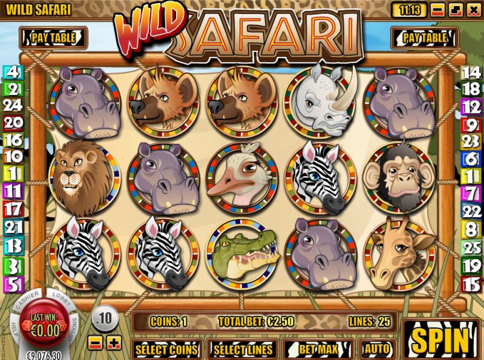 Wild Safari