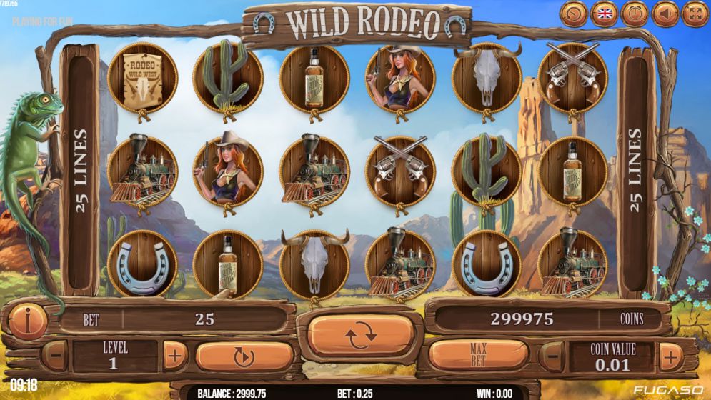 Wild Rodeo