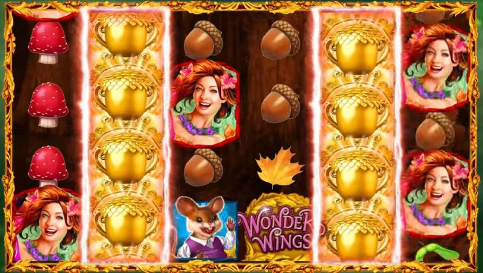 Wonder Wings Ruby Dash