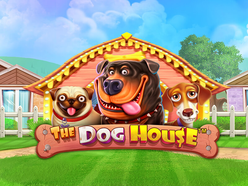 'The Dog House'