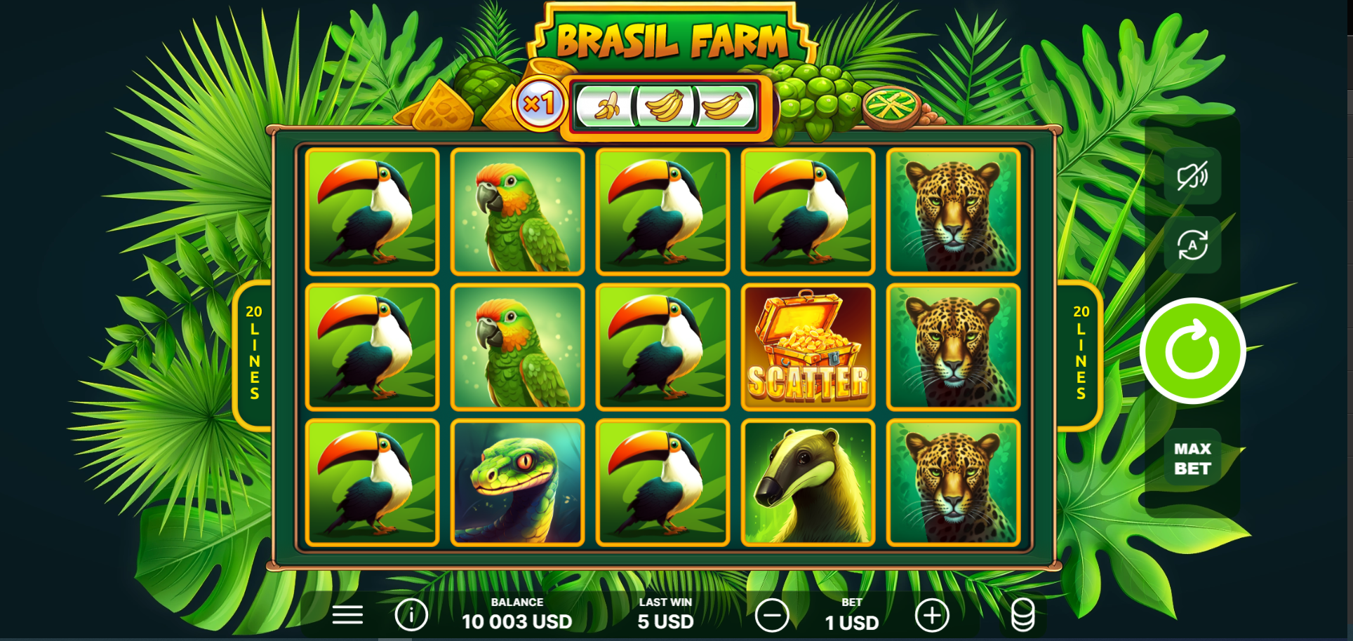 Brasil Farm