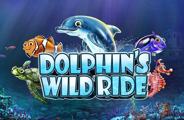 Dolphin’s Wild Ride