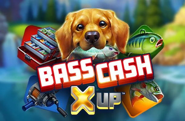 Bass Cash X UP
