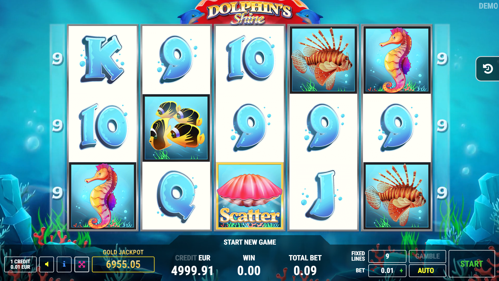Dolphin’s Shine